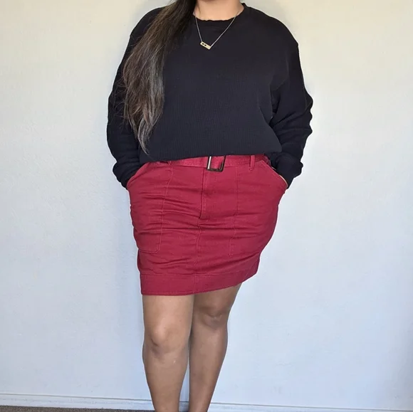 NWT Banana Republic Zipper Front Skirt Size 12 - Picture 3 of 7